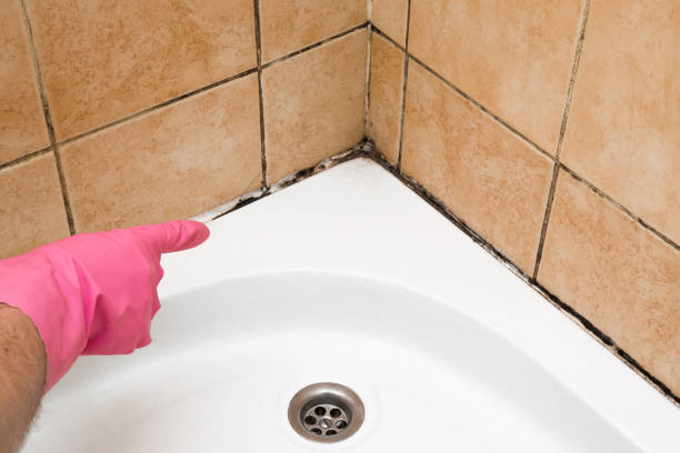 Best Residential Mold Removal  in Saranap, CA